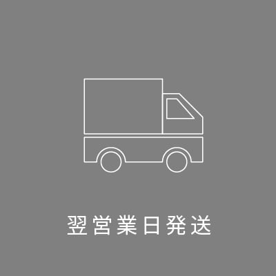 翌営業日発送アイコン
