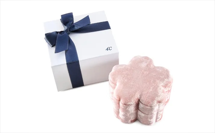 有料ジュエリーケースの画像