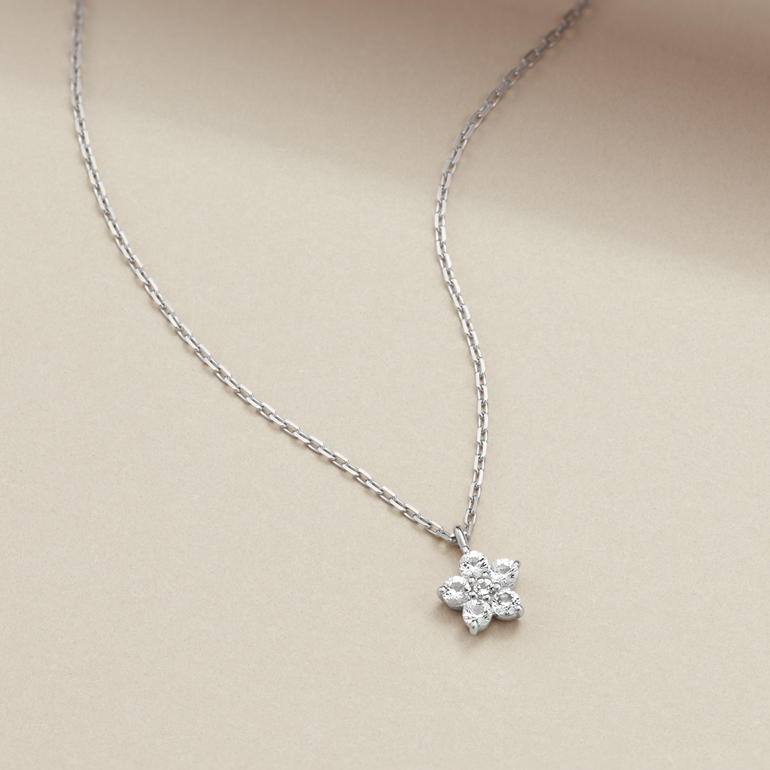4℃ Autumn Collection