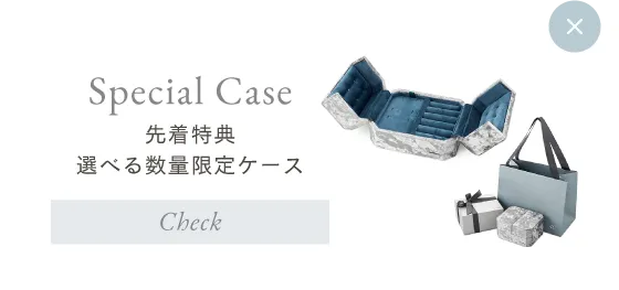 先着特典 選べる数量限定ケース
