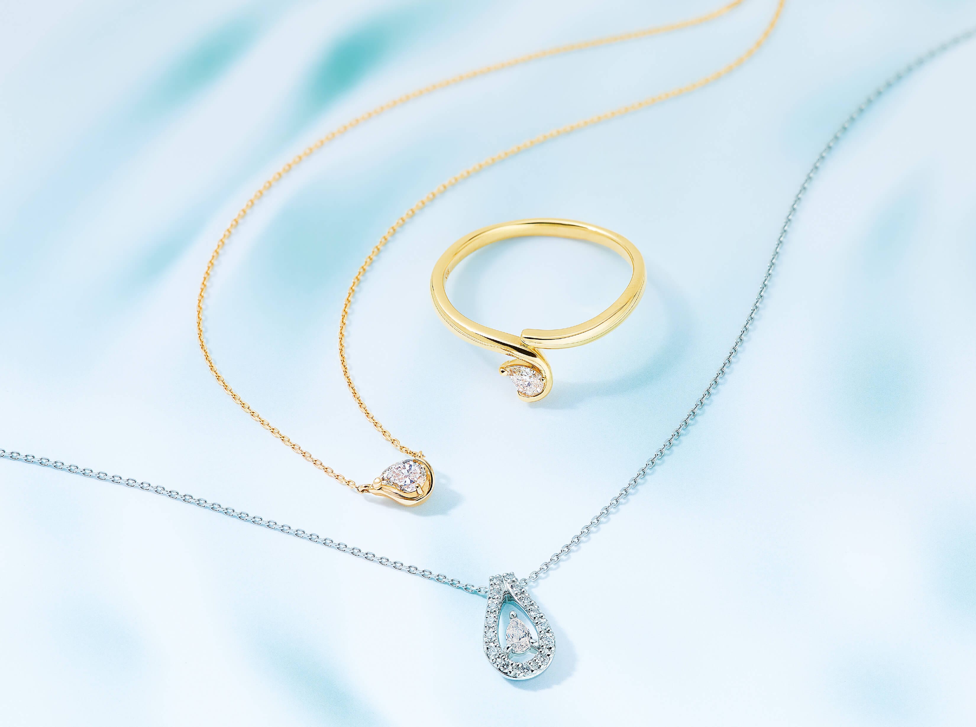 THE NIKKEI MAGAZINE 12月掲載