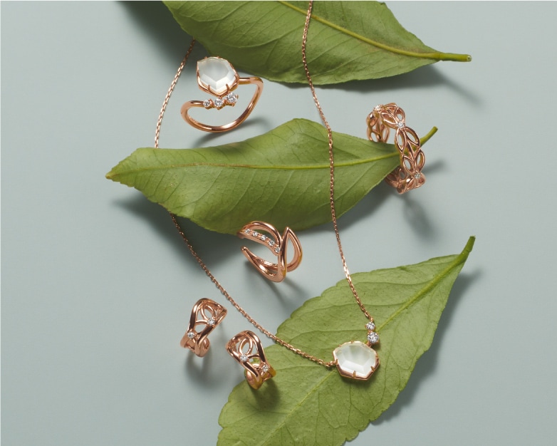 EARLY SUMMER COLLECTION