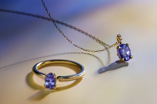 2025 Holiday Collection