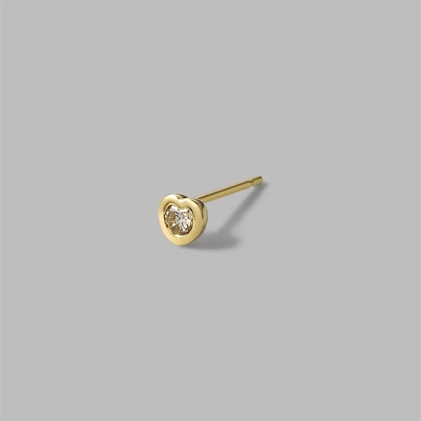 Pierced Earring
