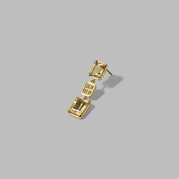 Pierced Earring