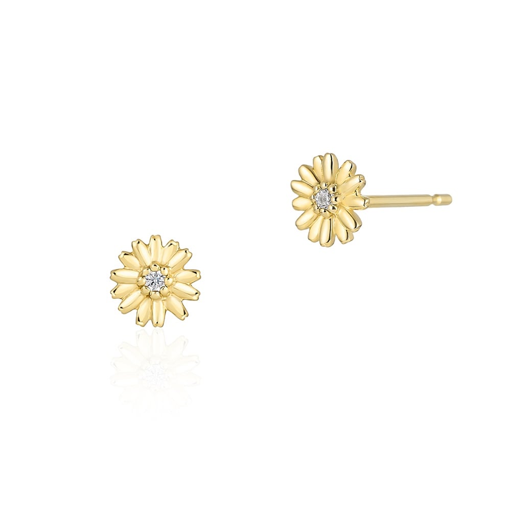 デイジー ピアス