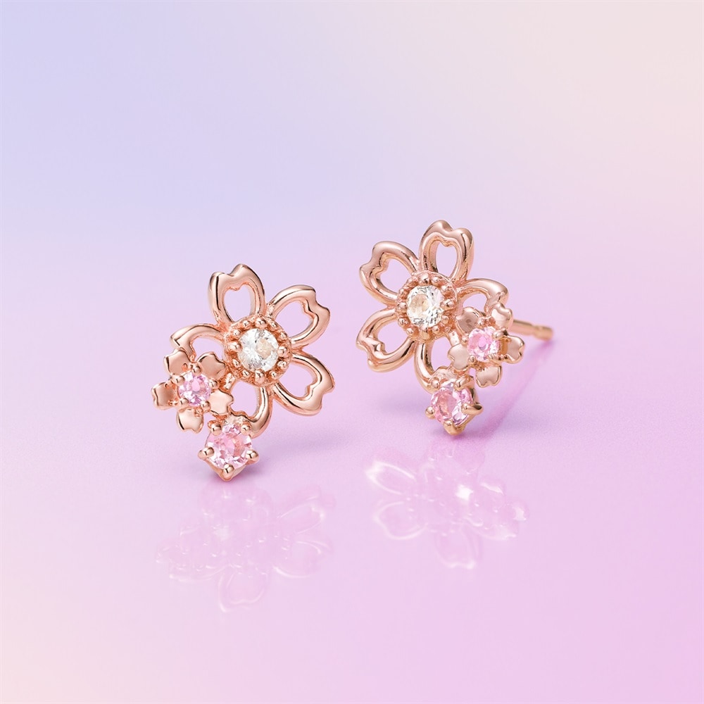 2026 SAKURA Collection |【公式】Canal4℃（カナルヨンドシー