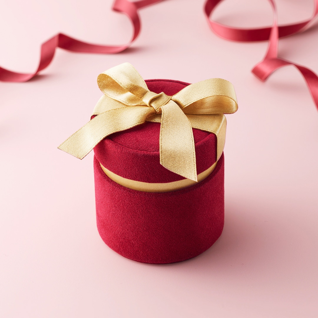 Christmas Limited Case