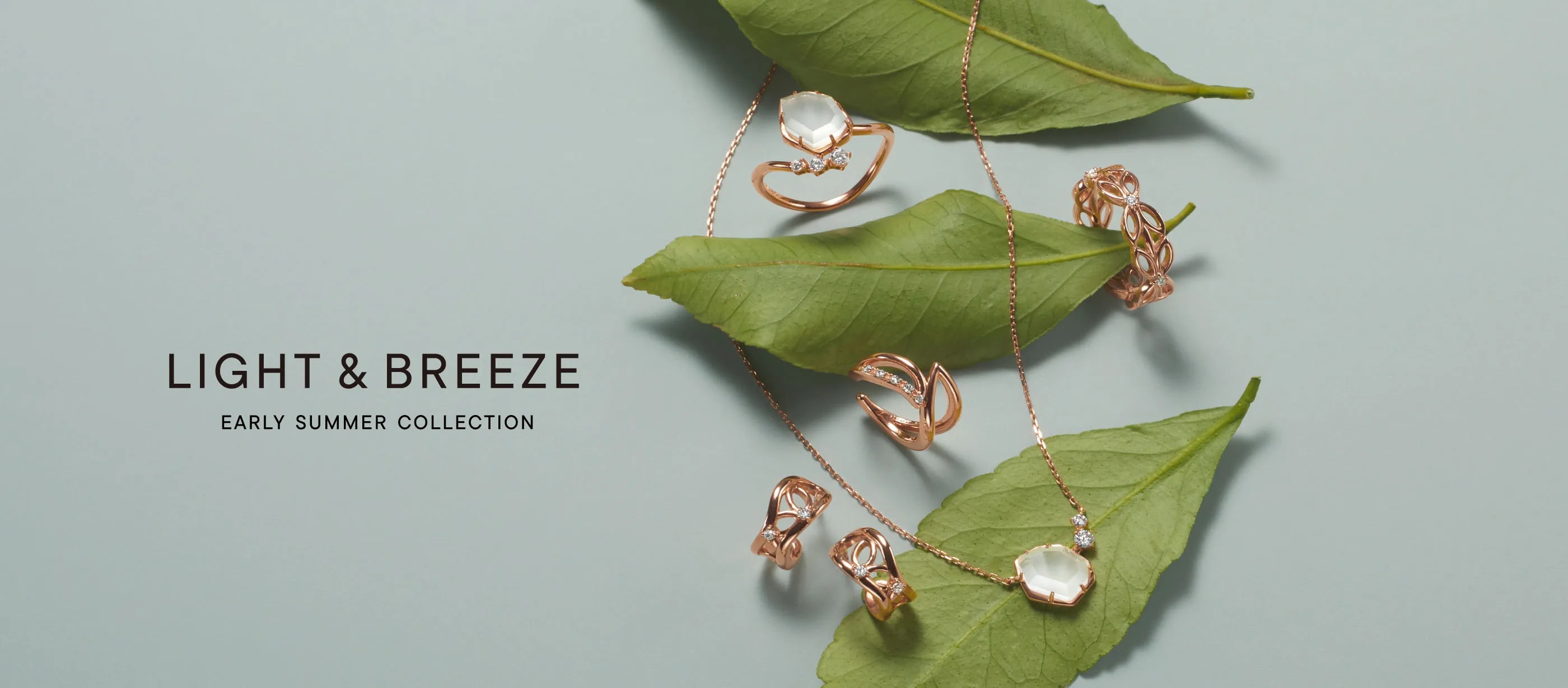 LIGHT & BREEZE EARLY SUMMER COLLECTION