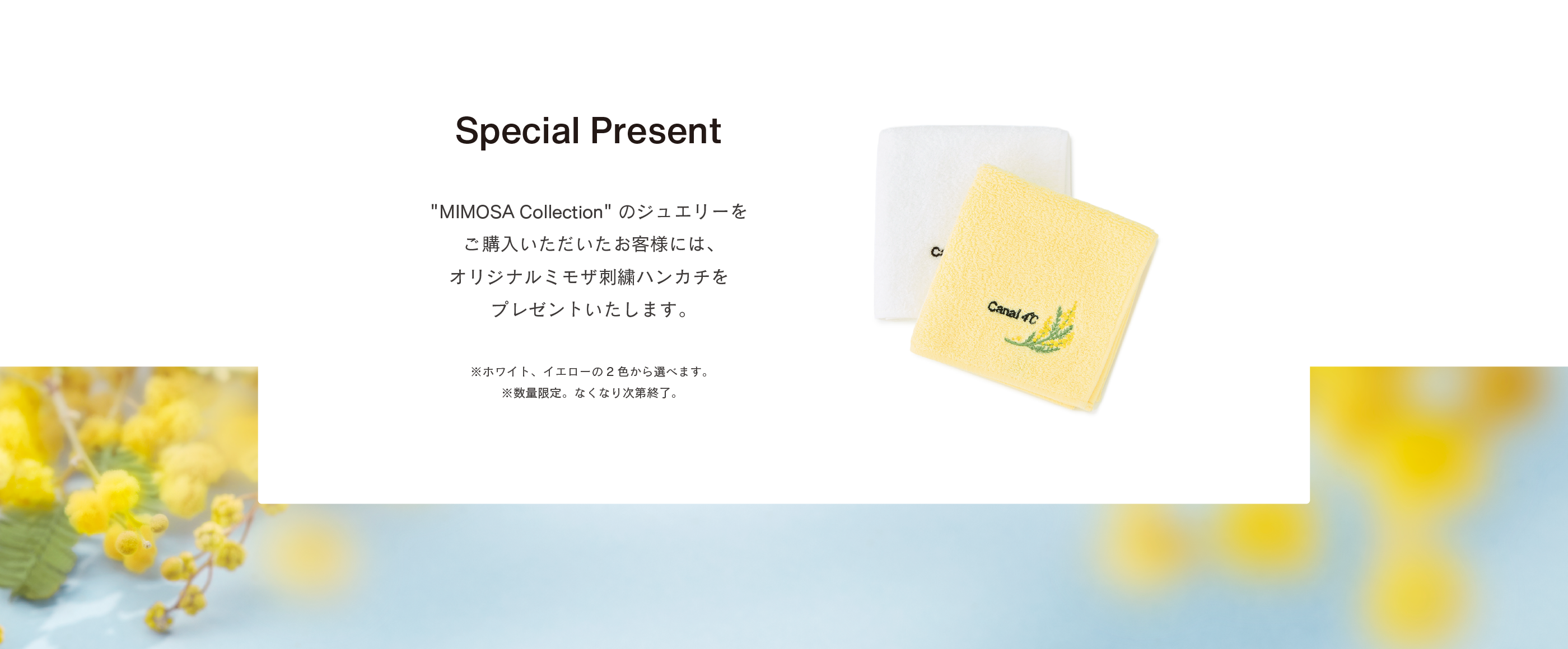 PC用のプレゼント画像